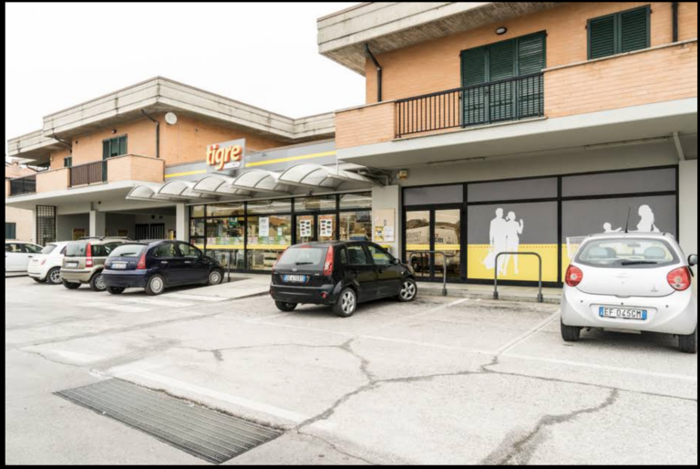 TIGRE AMICO -Supermercato